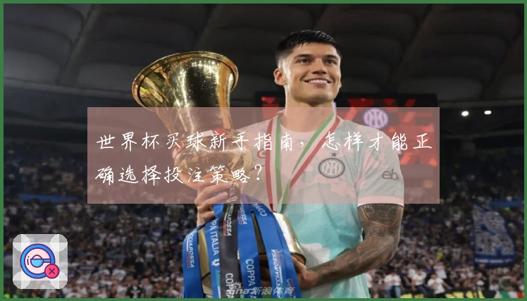 世界杯买球新手指南，怎样才能正确选择投注策略？