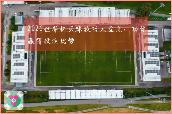 2026世界杯买球技巧大盘点，助你赢得投注优势