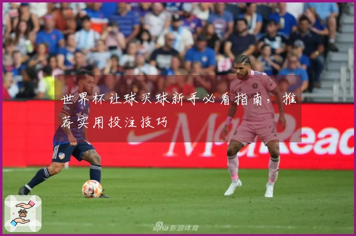 世界杯让球买球新手必看指南，推荐实用投注技巧