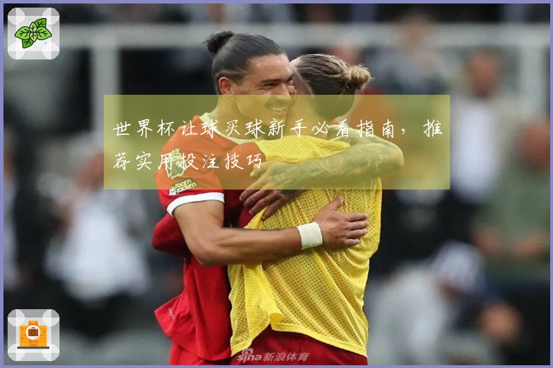 世界杯让球买球新手必看指南，推荐实用投注技巧
