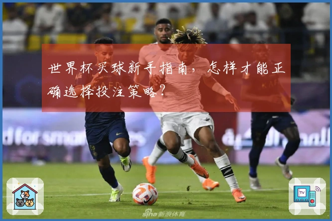 世界杯买球新手指南，怎样才能正确选择投注策略？
